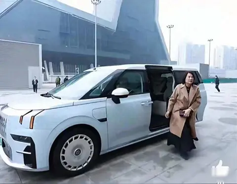 吉利副总裁回应董明珠换车：确已入手，气场绝配